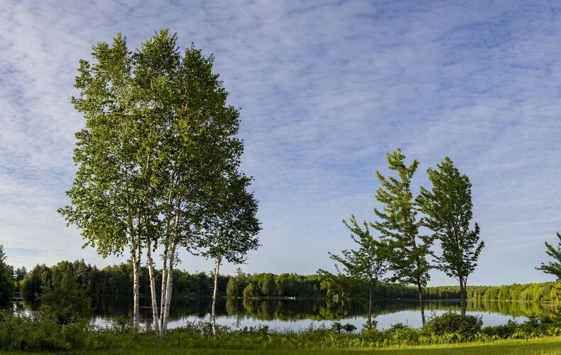 Appel de candidatures pour le Comité consultatif en environnement (CCE)